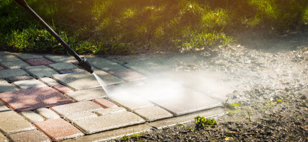 Animal Enclosure Cleaning in Pine Grove Mills, PA